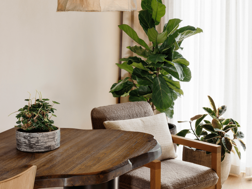 Table d'hôtel Melbourne 1